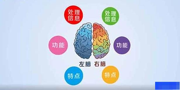 南京新希点七田教育-素质教育_素质教育_全脑开发_早教中心