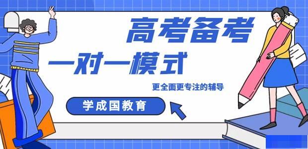 长沙学成国教育-高中_高中辅导_艺术考试辅导_高考复读