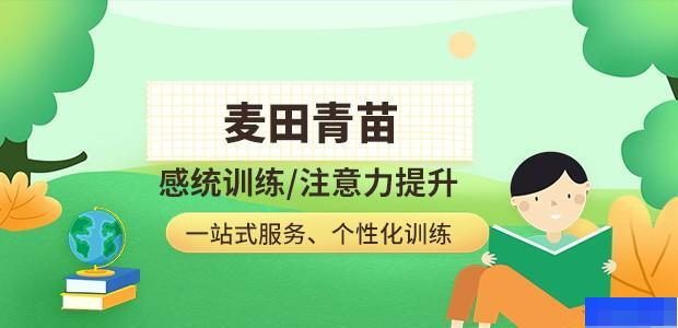 成都麦田青苗儿童能力训练中心-素质教育_素质教育_感统训练_