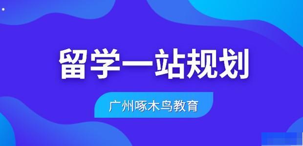 广州啄木鸟教育 -留学游学_国际留学_英语_新托福