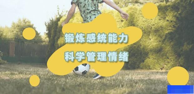 合肥金色雨林-素质教育_感统训练_素质教育_