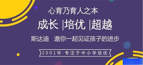 济南斯达迪教育-高中_阶段辅导_综合辅导_高中辅导